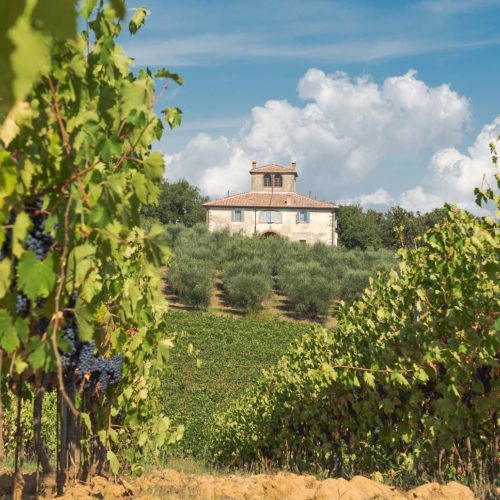 CASALE CASALE